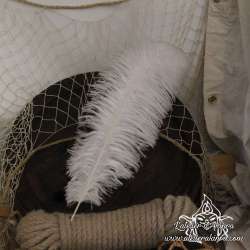 Plume d'autruche 45cm, couleur au choix, pour chapeau