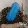 Plume d'autruche 45cm, couleur au choix, pour chapeau
