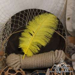 Plume d'autruche 45cm, couleur au choix, pour chapeau