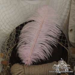 Plume d'autruche 45cm, couleur au choix, pour chapeau